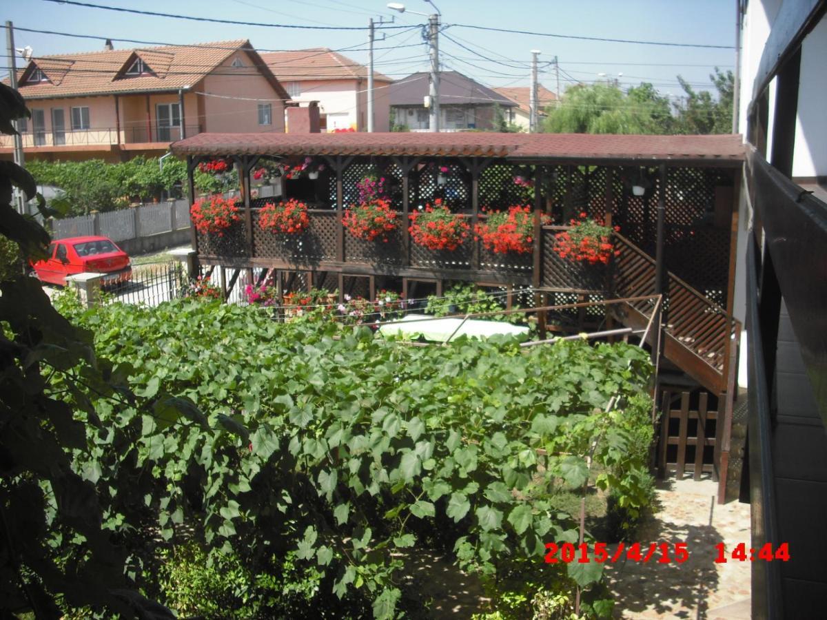 מלון Două Mai Casa Ciobi מראה חיצוני תמונה